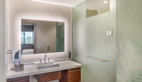 Junior King Suite with Sofa Bed