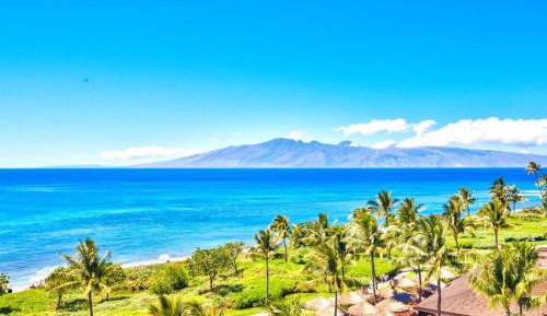 Seven-Bedroom Apartment