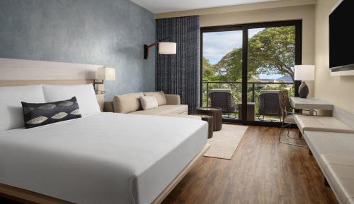Guest room with king bed, sofa bed 
