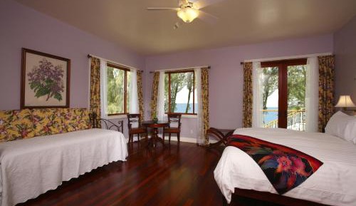 Junior Suite with Garden View