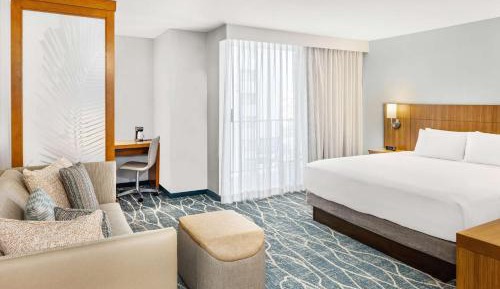 Specialty King Room with Sofa Bed and City View