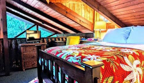 Bunk Bed in Mixed Dormitory Room