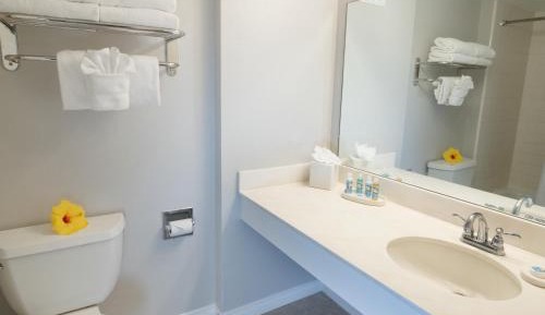 Standard Room, 1 King