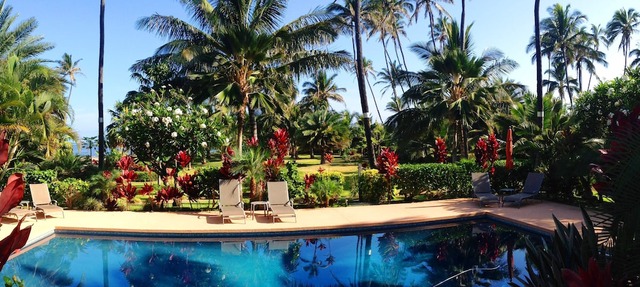 Beach Villa with large Pool, Perfect for Kiters & Windsurfers, Families