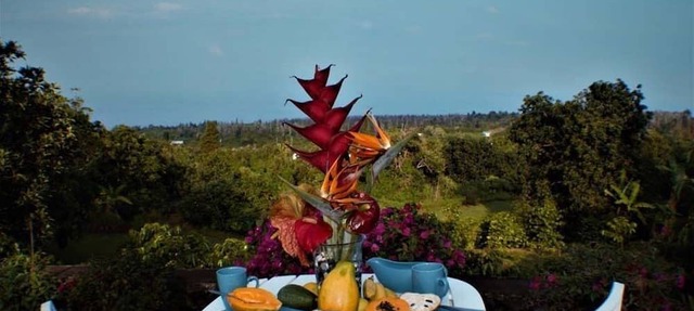 Stunning 180 degree Ocean Views 1 br/1 bath Studio on a 100% South Kona Farm