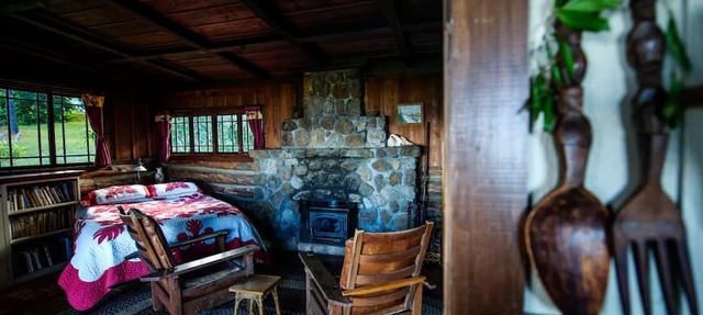 Cozy Upcountry Log Cabin