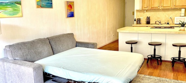 Cozy, Beautiful 1-BR Condo, sleeps 4