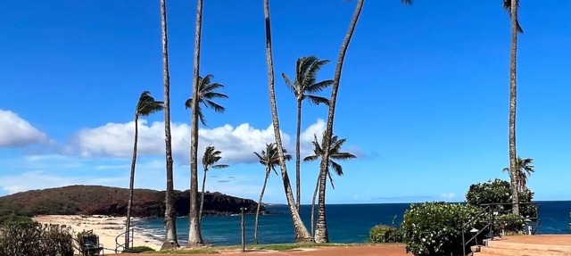 Luxurious Ocean View- Ground Floor/WIFI/Lanai/King Bed/Kitchen