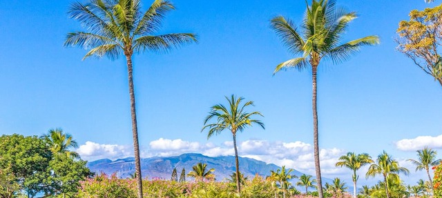 Spacious 2 bedroom 2 bath Palms at Wailea 1703