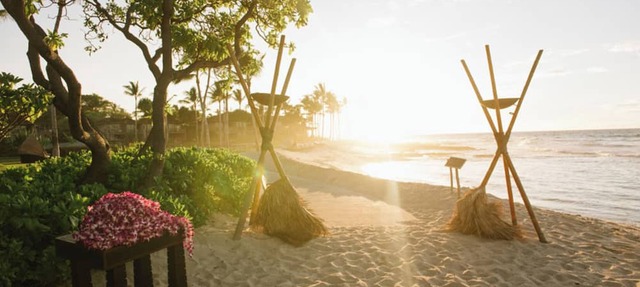 Kona Estate