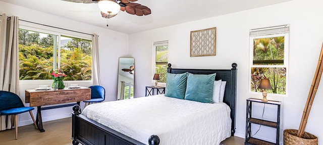 Jungle Studio - Cute and Cozy w/Queen Bed, Wifi, Full Bathroom
