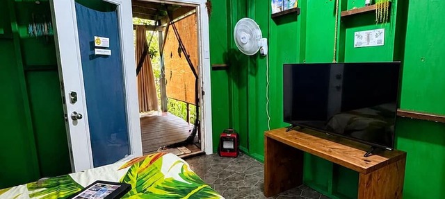 Off-Grid Rainforest Sanctuary & Dog Rescue