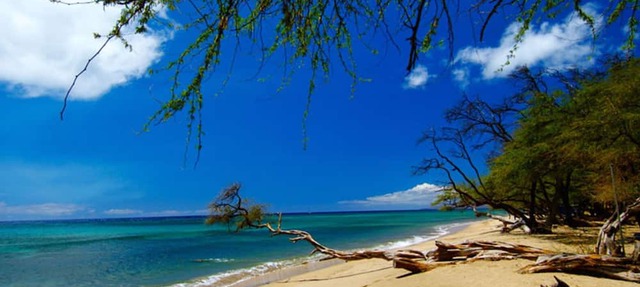 Embark on a journey through Maui with Aloha Glamp