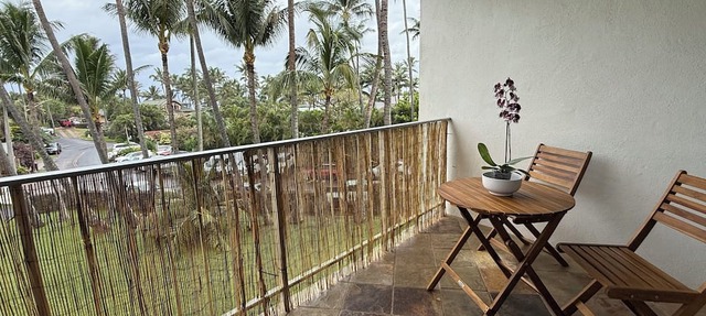 Maui's best Surf, wdsurf, snorkeling by secluded beach+ AC.