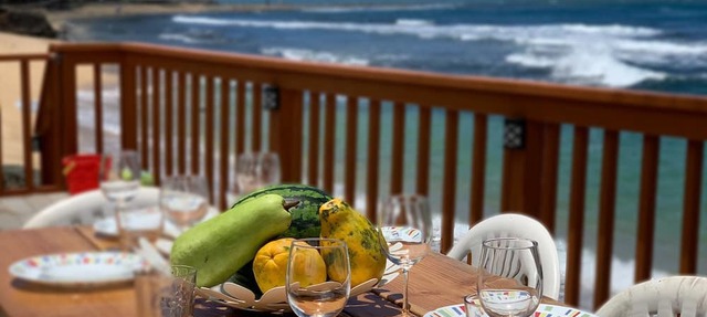 "The Happy Seal" Oceanfront House, watch seals sunbath from our deck while BBQ