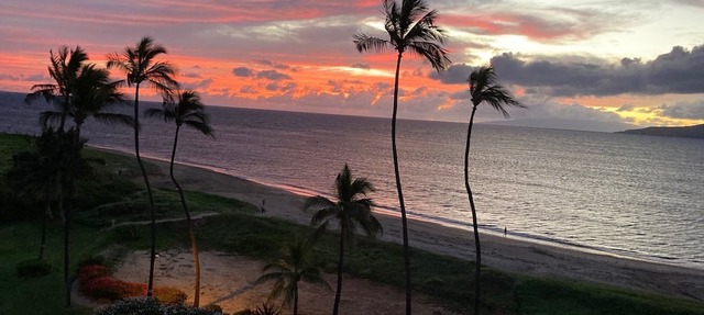 Weekly and Monthly Discounts/Koa Lagoon Direct Oceanfront Top Floor Unit 603