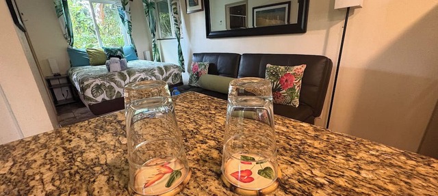 Discover Tranquility at Palm Studio: Your Gateway to Nature in Hilo Town!