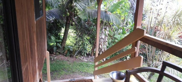 Hikina House- cozy yet airy-Walk to Kehena Beach