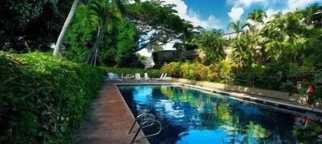 On top of the Ocean Hideaway - Oceanfront Views on Maui