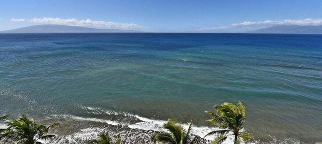 Relaxing BeachFront Studio Amazing Views - Mahana 1113