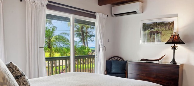 Haena Pua, Oceanview, Steps to Beach, AC TVNC#4206