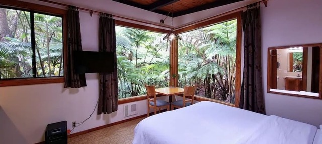 Tropical 1-bedroom cabin. Five minute drive to Hawaii Volcanoes National Park.