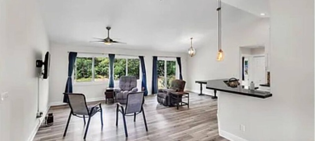 Cozy studio in Keaau only pet friendly studio available.