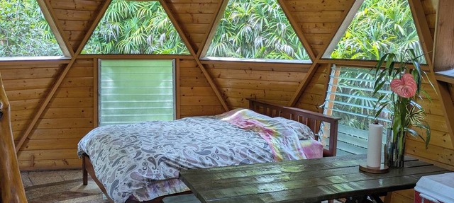 Solar powered bohemian loft cottage with birds, lizards, and frogs