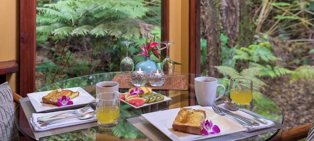 Rainforest Retreat near Hawaii Volcanoes National Park