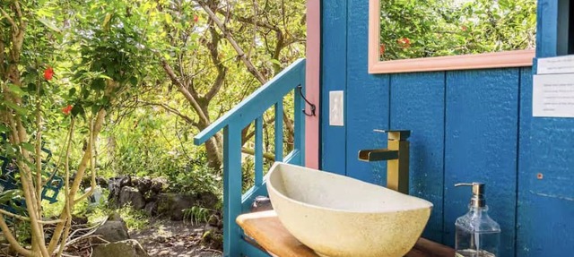 Spacious, Bright, Jungle retreat