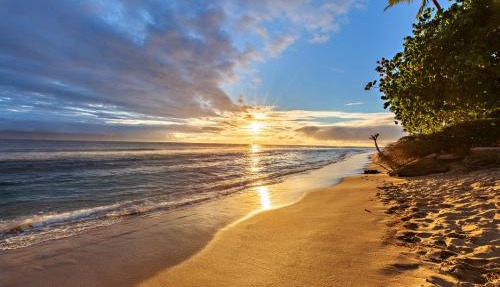 Lahaina Roads 306
