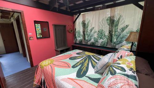 Rare Rainforest Hideaway - A true jungle experience!