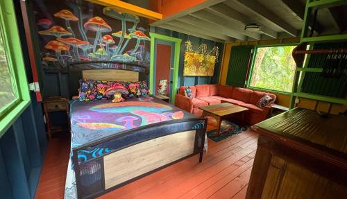 RV in a Rainforest Tree - A fun, unique, magical jungle experience!