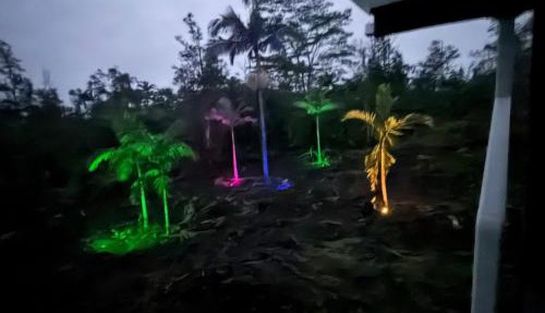 Jungle Lux Glamping Private Tropical Escape