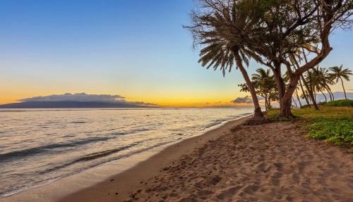 Lahaina Shores Beach Resort 608