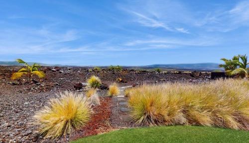 Star of Waikoloa