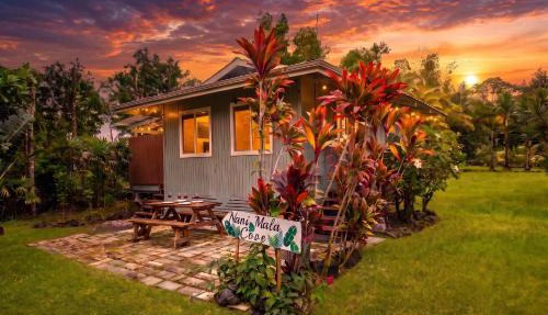 Island Rainforest Grove Two Cabin Combo