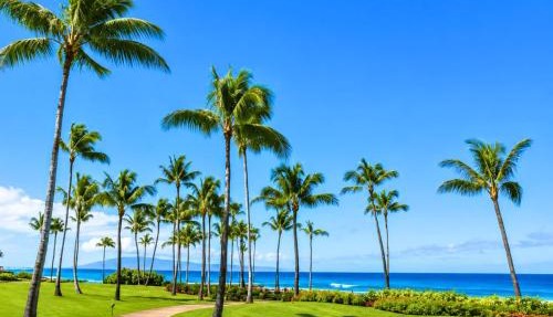 The Resort at Kapalua Bay Oceanfront 3 BR Luxury Resort Living Complimentary Car with 6 Nights MON-2204 by KBM