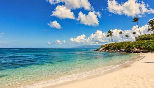 The Resort at Kapalua Bay Ocean View 3 BR Luxury Resort Living Complimentary Car with 6 Nights MON-2604 by KBM