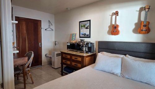Oceanfront studio see whales and dolphins