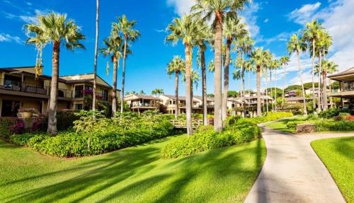 Wailea Elua, #0908