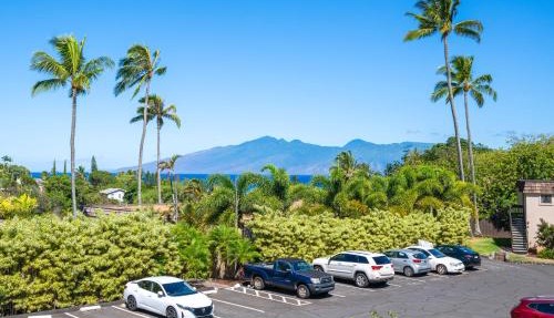 Walk to Napili Bay Beach! Mtn-View Lahaina Condo