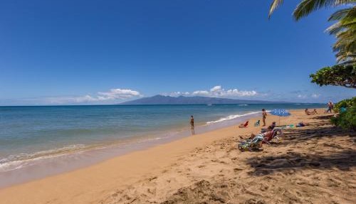 Sands of Kahana 282 condo